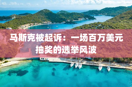 马斯克被起诉：一场百万美元抽奖的选举风波