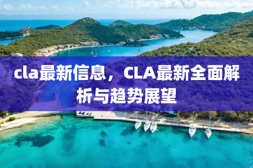 cla最新信息，CLA最新全面解析与趋势展望