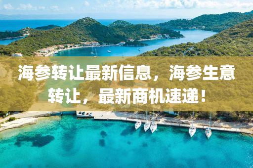 海参转让最新信息，海参生意转让，最新商机速递！