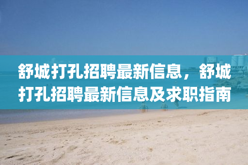 舒城打孔招聘最新信息，舒城打孔招聘最新信息及求职指南