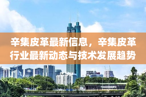 辛集皮革最新信息，辛集皮革行业最新动态与技术发展趋势