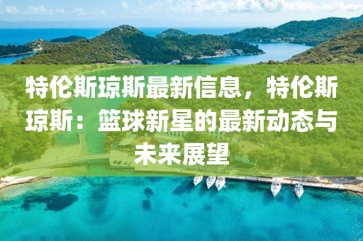 特伦斯琼斯最新信息，特伦斯琼斯：篮球新星的最新动态与未来展望