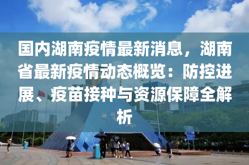 国内湖南疫情最新消息，湖南省最新疫情动态概览：防控进展、疫苗接种与资源保障全解析