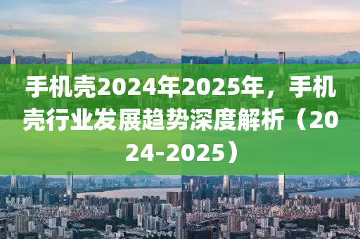 手机壳2024年2025年，手机壳行业发展趋势深度解析（2024-2025）