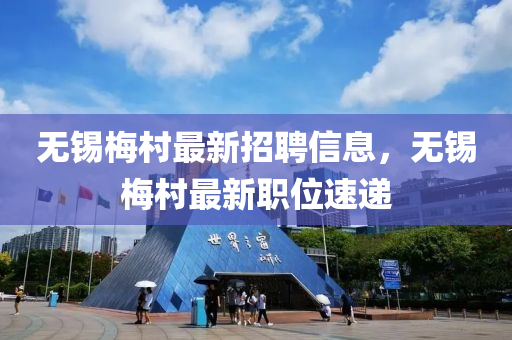 wuxinyun 第24页