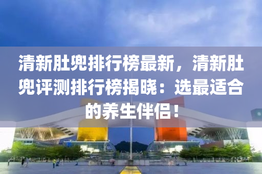 清新肚兜排行榜最新，清新肚兜评测排行榜揭晓：选最适合的养生伴侣！