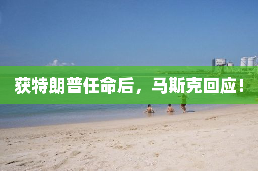 获特朗普任命后，马斯克回应！