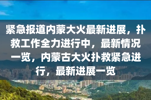 紧急报道内蒙大火最新进展，扑救工作全力进行中，最新情况一览，内蒙古大火扑救紧急进行，最新进展一览