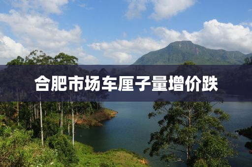 合肥市场车厘子量增价跌