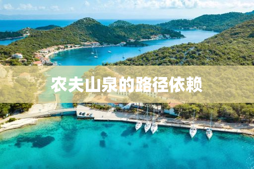 农夫山泉的路径依赖