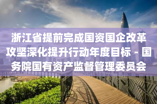 浙江省提前完成国资国企改革攻坚深化提升行动年度目标－国务院国有资产监督管理委员会