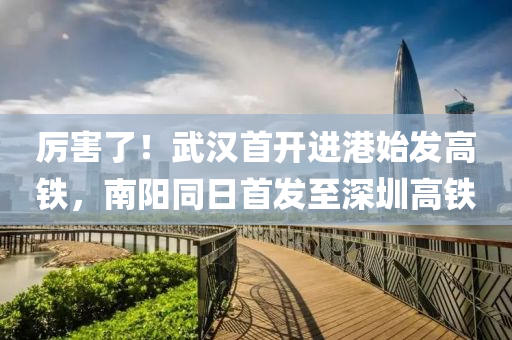 厉害了！武汉首开进港始发高铁，南阳同日首发至深圳高铁
