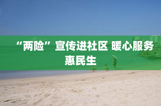 “两险”宣传进社区 暖心服务惠民生