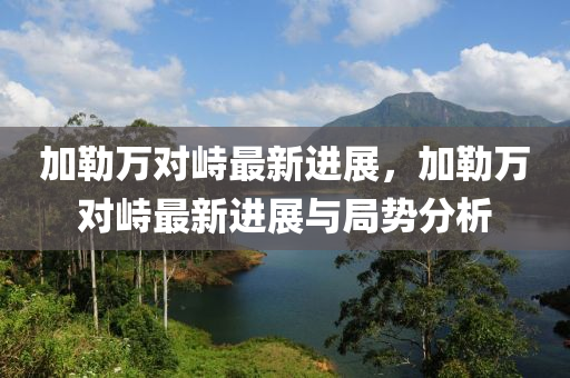 加勒万对峙最新进展，加勒万对峙最新进展与局势分析