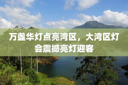 万盏华灯点亮湾区，大湾区灯会震撼亮灯迎客