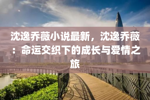 沈逸乔薇小说最新，沈逸乔薇：命运交织下的成长与爱情之旅