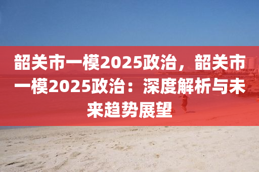 韶关市一模2025政治，韶关市一模2025政治：深度解析与未来趋势展望