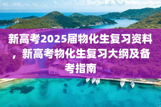 新高考2025届物化生复习资料，新高考物化生复习大纲及备考指南