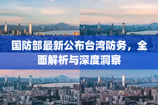 国防部最新公布台湾防务，全面解析与深度洞察
