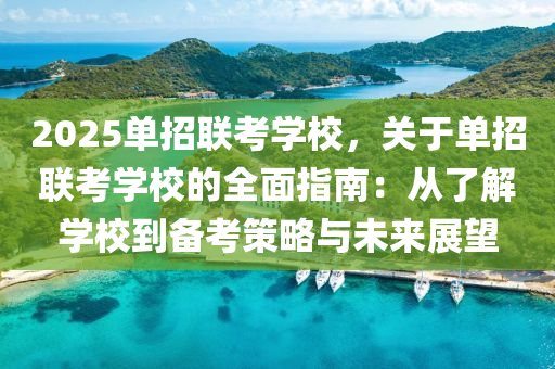 2025单招联考学校，关于单招联考学校的全面指南：从了解学校到备考策略与未来展望