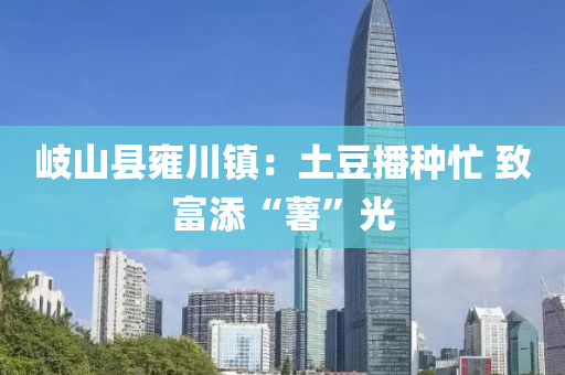 岐山县雍川镇：土豆播种忙 致富添“薯”光