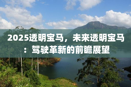 寻宝记澳门正版，澳门寻宝传奇，正版探秘之旅
