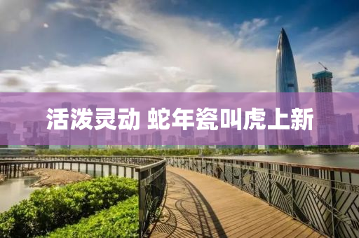 2025年1月27日 第13页