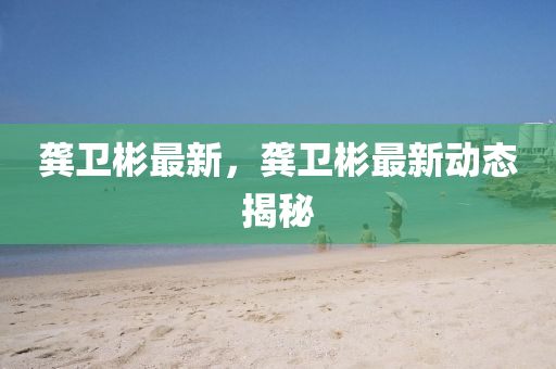 龚卫彬最新，龚卫彬最新动态揭秘