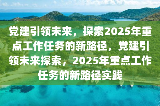 党建引领未来，探索2025年重点工作任务的新路径，党建引领未来探索，2025年重点工作任务的新路径实践