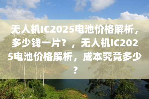无人机IC2025电池价格解析，多少钱一片？，无人机IC2025电池价格解析，成本究竟多少？