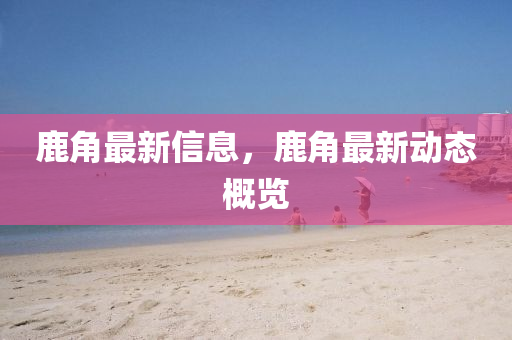 鹿角最新信息，鹿角最新动态概览