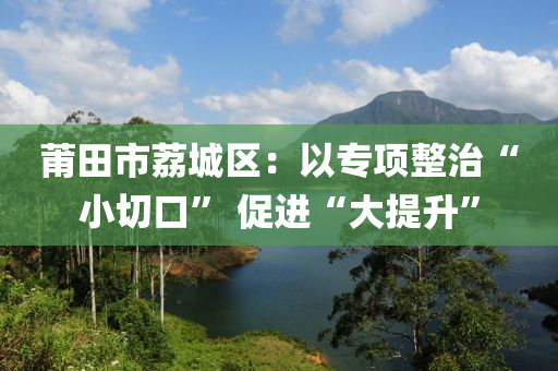 莆田市荔城区：以专项整治“小切口” 促进“大提升”