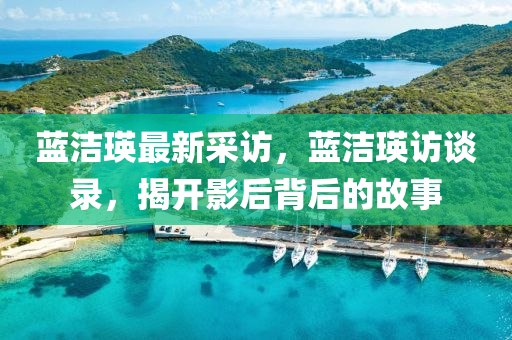 蓝洁瑛最新采访，蓝洁瑛访谈录，揭开影后背后的故事