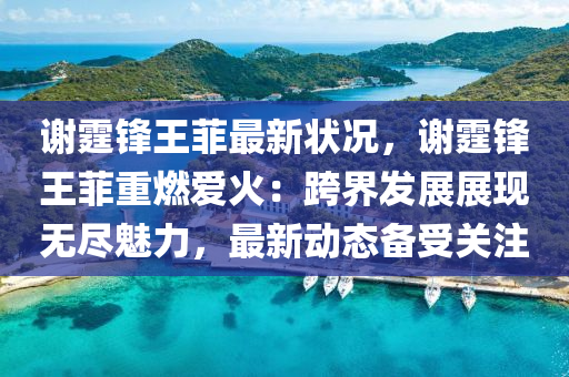 谢霆锋王菲最新状况，谢霆锋王菲重燃爱火：跨界发展展现无尽魅力，最新动态备受关注