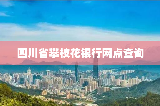 四川省攀枝花银行网点查询