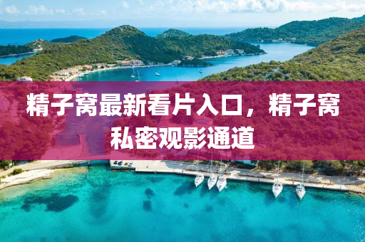 精子窝最新看片入口，精子窝私密观影通道
