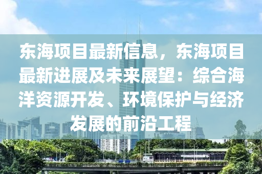 东海项目最新信息，东海项目最新进展及未来展望：综合海洋资源开发、环境保护与经济发展的前沿工程