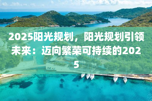 2025阳光规划，阳光规划引领未来：迈向繁荣可持续的2025