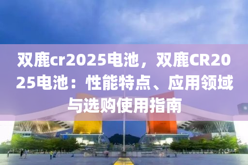 双鹿cr2025电池，双鹿CR2025电池：性能特点、应用领域与选购使用指南