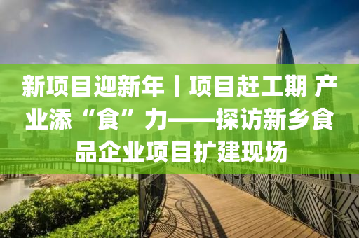 新项目迎新年丨项目赶工期 产业添“食”力——探访新乡食品企业项目扩建现场