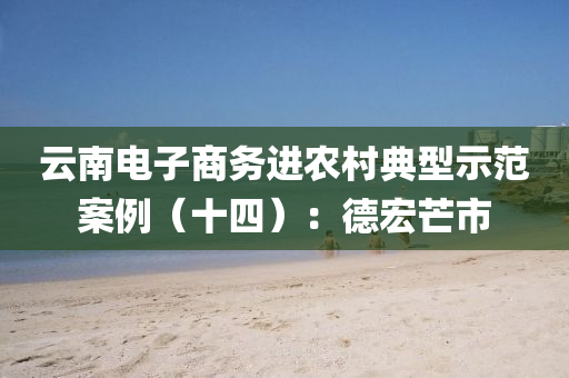 云南电子商务进农村典型示范案例（十四）：德宏芒市