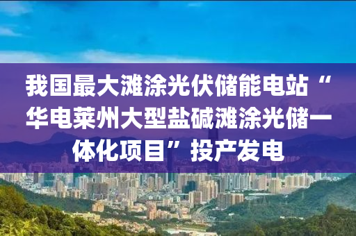 我国最大滩涂光伏储能电站“华电莱州大型盐碱滩涂光储一体化项目”投产发电