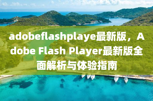 adobeflashplaye最新版，Adobe Flash Player最新版全面解析与体验指南