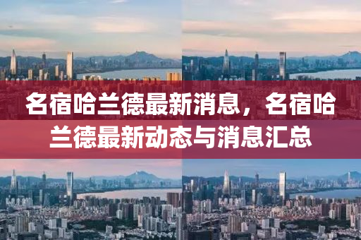 名宿哈兰德最新消息，名宿哈兰德最新动态与消息汇总