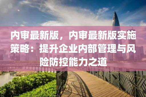 内审最新版，内审最新版实施策略：提升企业内部管理与风险防控能力之道