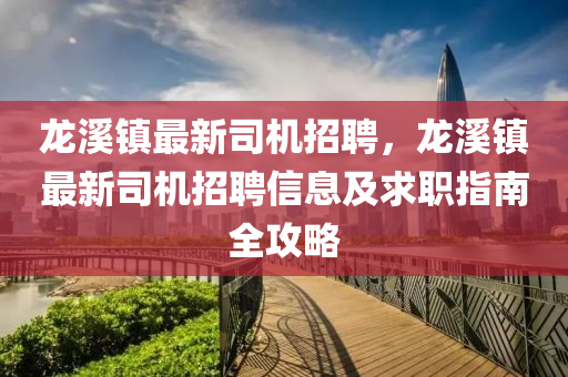 龙溪镇最新司机招聘，龙溪镇最新司机招聘信息及求职指南全攻略