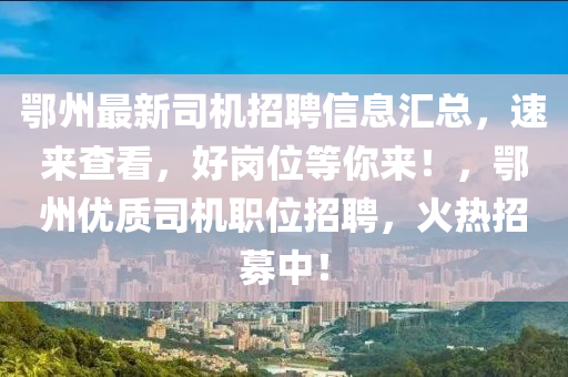 鄂州最新司机招聘信息汇总，速来查看，好岗位等你来！，鄂州优质司机职位招聘，火热招募中！