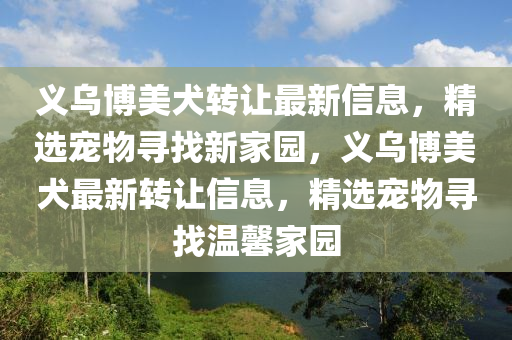 义乌博美犬转让最新信息，精选宠物寻找新家园，义乌博美犬最新转让信息，精选宠物寻找温馨家园