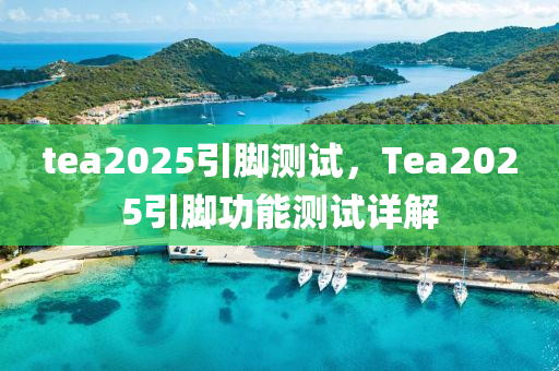 tea2025引脚测试，Tea2025引脚功能测试详解