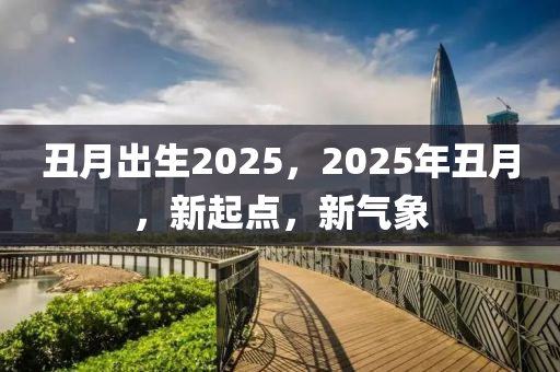 丑月出生2025，2025年丑月，新起点，新气象